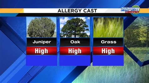 See important allergy and weather information to help you plan ahead. . Pollen count tampa fl